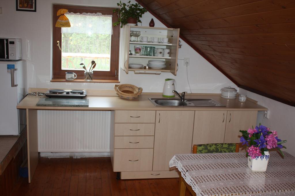 Apartment Benci Jindrichuv Hradec